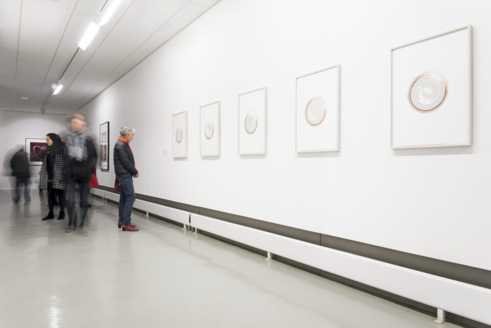 Vue de salle de l'exposition Luc Tuymans