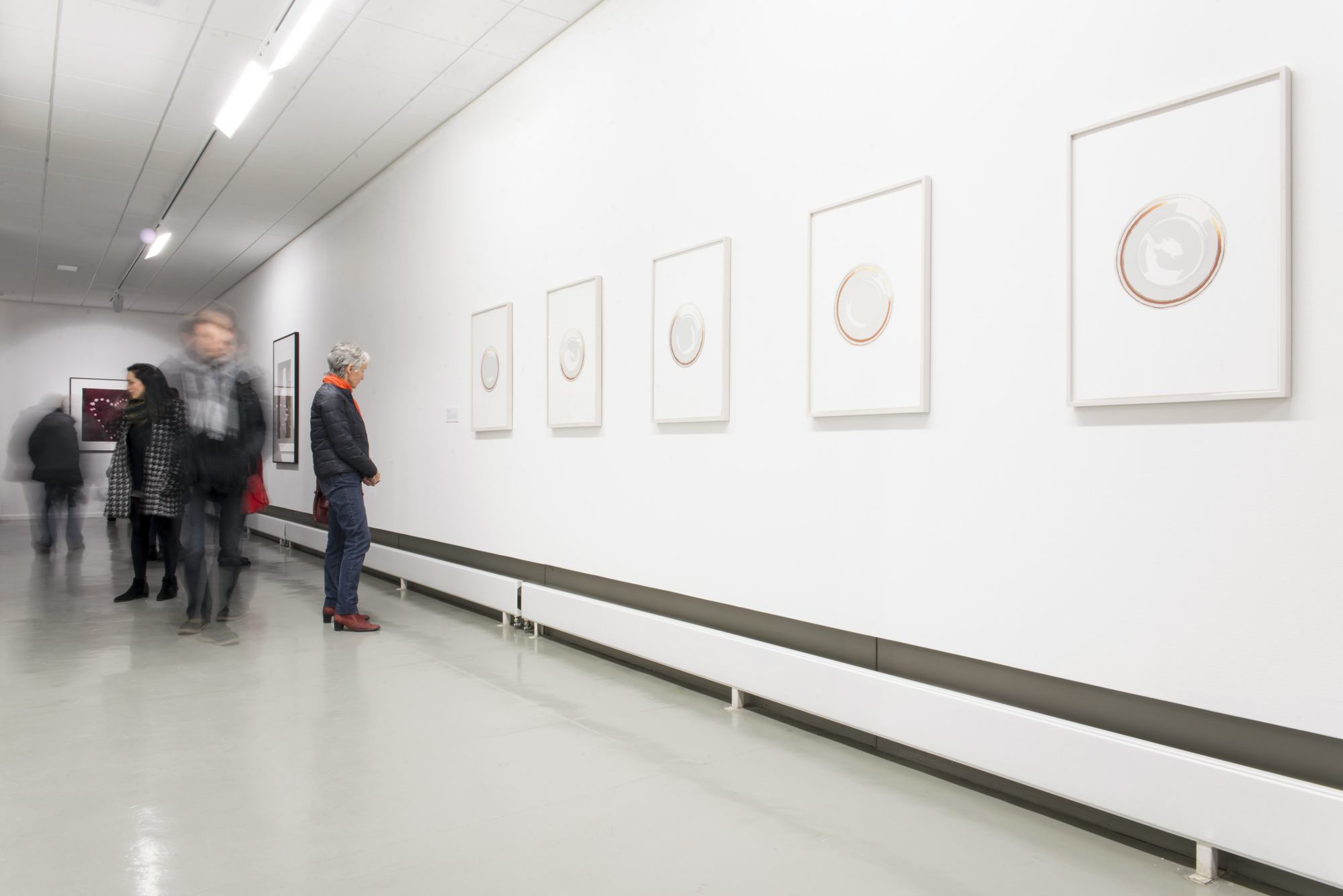 Vue de salle de l'exposition Luc Tuymans