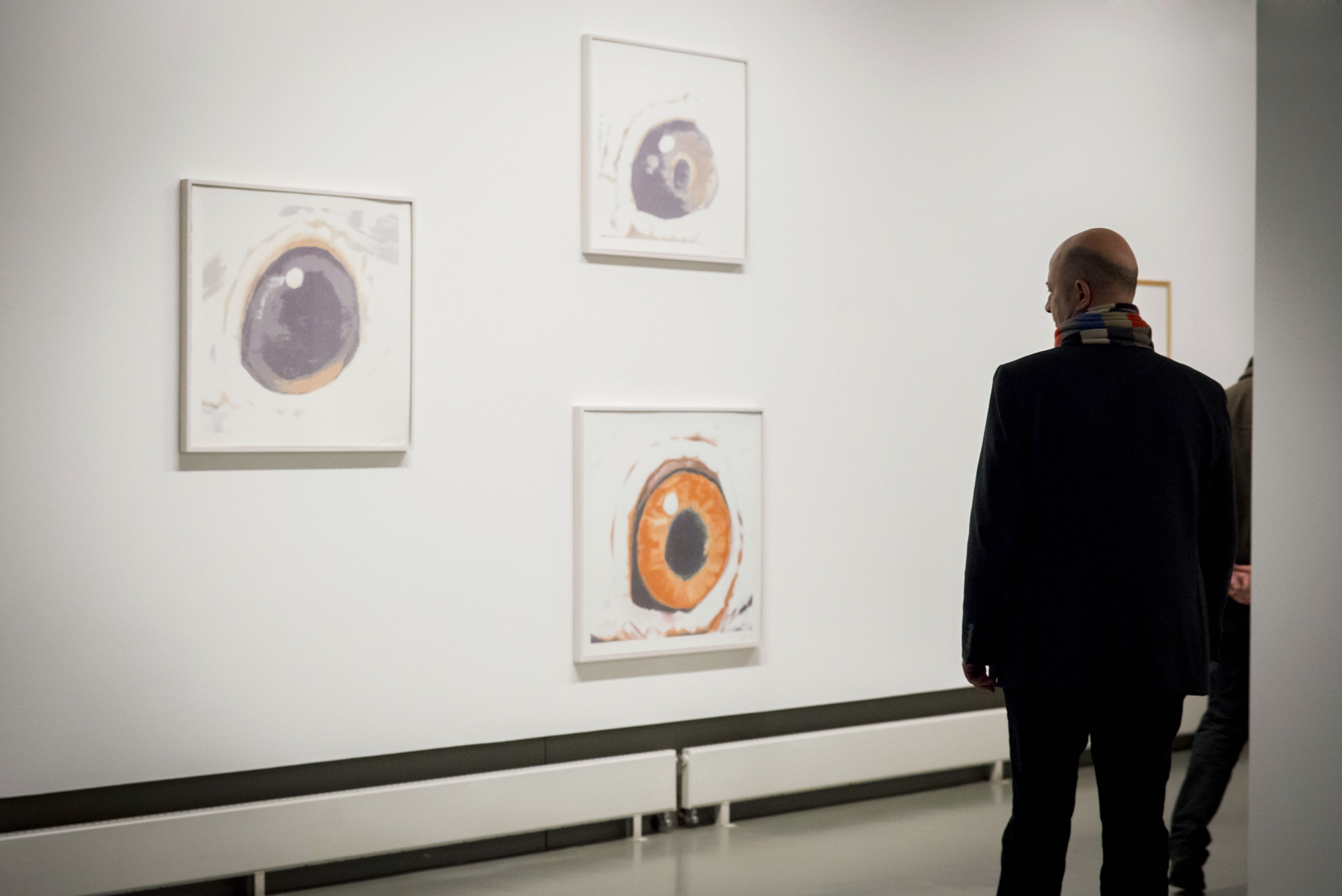 Vue de salle de l'exposition Luc Tuymans