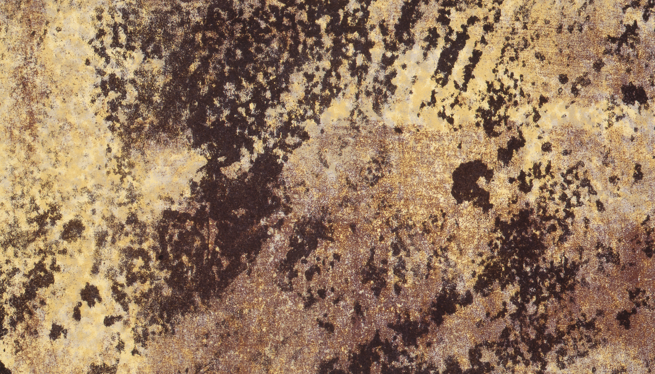 Détail de l'œuvre "Le sol allègre", par Jean Dubuffet, 1962